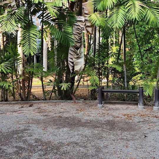 Chiang Mai Taiji